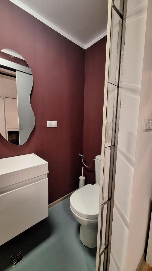 Swanhome - Central Apartment Cluj-Napoca Luaran gambar